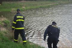 Cvičení hasičů - pátrání