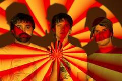 Animal Collective