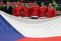 Davis Cup 2009: český tým