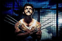 Comic Con - Wolverine