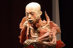 Výstava Bodies v pražské Lucerně