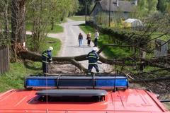 Likvidace následků nedělního vichru