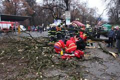 Strom ve Zlíně spadl na lidi