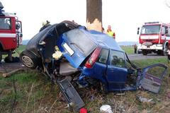 Řidič narazil do stromu