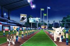 Petz Sports: Psí cvičák