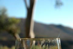 Podivuhodný svět destilátů