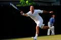 Radek Štěpánek na Wimbledonu