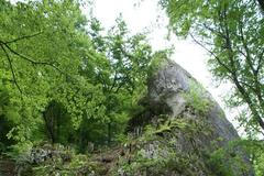 Německo Hohler Fels