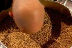 Světový rekord v přenosu červů