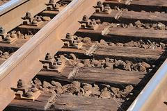 Vykolejený vlak v Čelákovicích