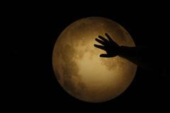 Benefiční akce Reuters