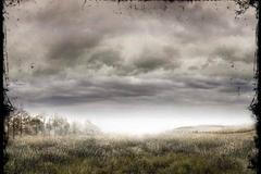 Kojima Productions Next