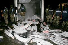 Pašeráci drog v Mexiku schovali kokain do těl zmrzlých žraloků