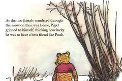 Prasečí chřipka - vtip