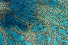 Velký bariérový útes, Queensland, Austrálie