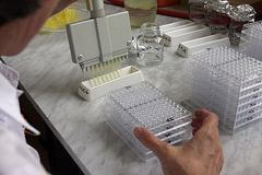 Referenční laboratoř pro chřipku