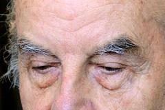 Poslední den soudního procesu s Josefem Fritzlem