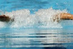 MS v plavání - Řím