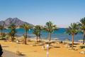 EGYPT TABA