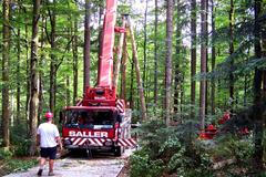 Procházka v korunách stromů