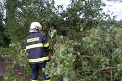 Bouřka lámala stromy a trhala střechy