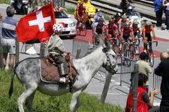 Tour de France - 15. etapa