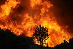 Kalifornie - požáry