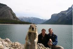 Vlezlá veverka na fotomontáži