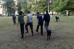 Týden nepřizpůsobivosti, hra ve Stromovce