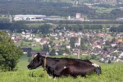 Lichtenštejnsko, Ruggell ,sídlo Haslerových firem