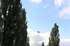 Smrtelná nehoda motorkáře na Domažlicku