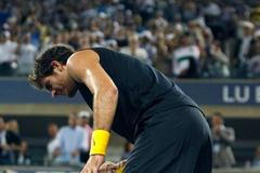 Del Potro slaví vítězství