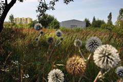 místo koncert pro Madonnu