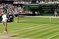 Tenis - Wimbledon