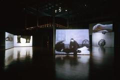 DOX: Douglas Gordon