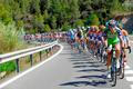 La Vuelta - peloton