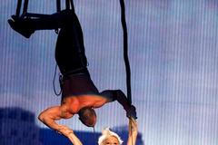 Předávání MTV Video Music Awards 2009 - Pink