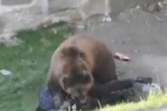 Medvěd napadl muže