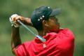 Tiger Woods