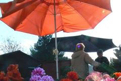 Valašská kalamita týden poté