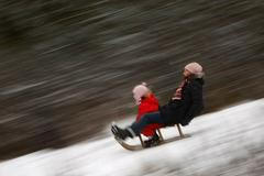 Zimní radovánky: Sáňkování