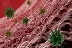 Virus HIV, AIDS, ilustrační foto