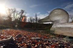 Stromovka - Cesta za poznáním