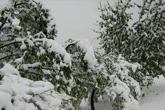 Sněhová nadílka v hrabství Pražmo