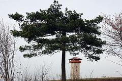 Rozhledna v Roprachticích