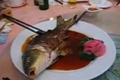 Čínani jedí zaživa osmaženého kapra