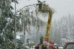 Valašská sněhová kalamita