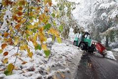 Kalamita v podhůří Orlických hor