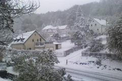 Sníh v Petrovicích