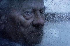 Bzučení hmyzu: Zápisky mumie